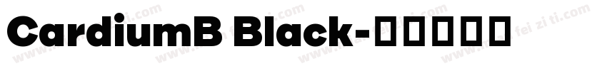 CardiumB Black字体转换